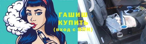 мдпв Каменка