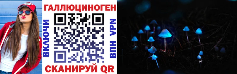 Галлюциногенные грибы Psilocybe  Вытегра 